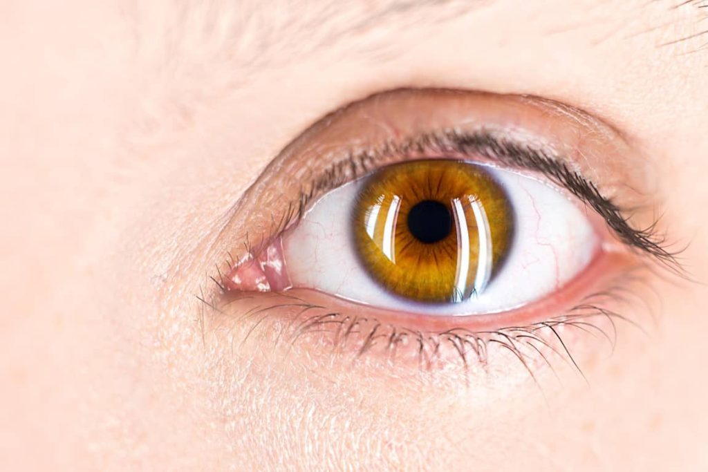 Ernährung-Augen: das Auge einer Frau in Nahaufnahme